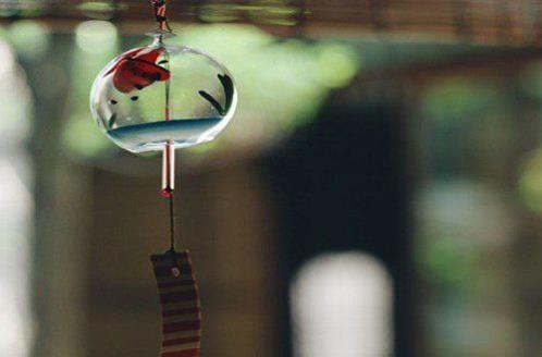 晚安心语简短一句话（幼儿晚安可爱句子）