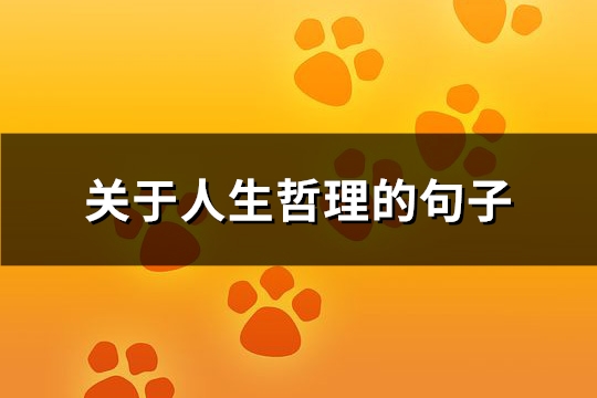 关于人生哲理的句子(实用119句)
