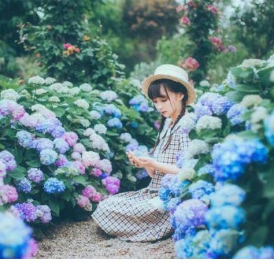 适合一家三口的文案