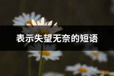 ​表示失望无奈的短语(优选109句)