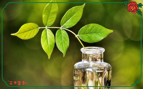 形容春天快到了的句子(热门84句)