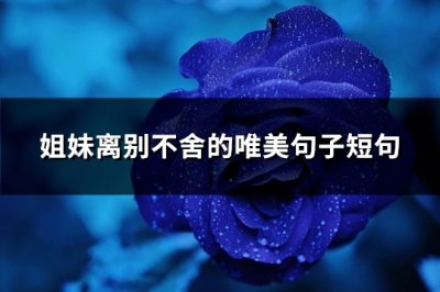 ​姐妹离别不舍的唯美句子短句(精选80句)