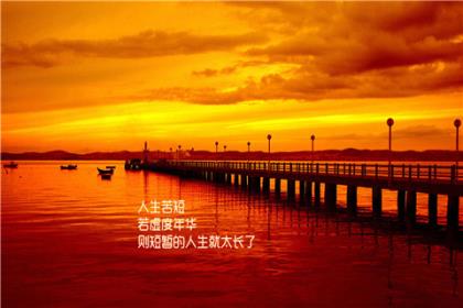 对生活感悟的句子