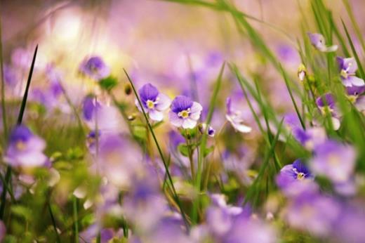 对生活感悟的句子