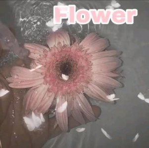 ​诗经中描写少年的句子