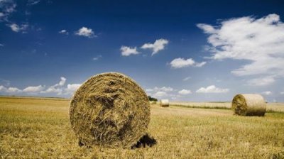 ​描写母亲白发的优美句子（描写样子妈吗妈句子）