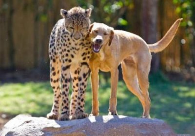 ​世界上最幸福的女人句子（晒幸福的句子简短）
