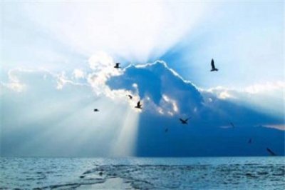 ​适合发抖音酷酷的句子：现在可能是撞死了…