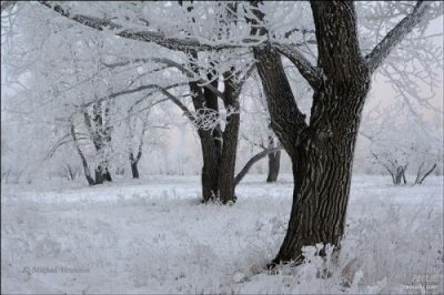 ​描写古代女子哭的句子