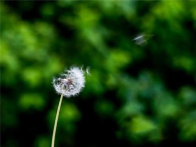 ​关于分享的优美段落 与朋友分享喜悦的句子