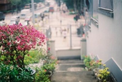 ​关于春节的句子30字