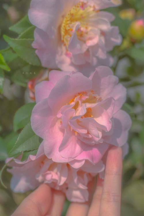 微信感谢有你的句子