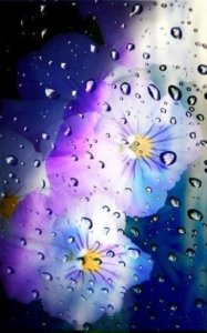 ​相爱的句子不离不弃