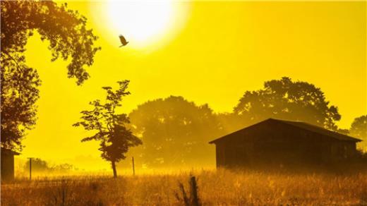 对于音乐的赞美的句子