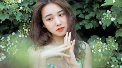 ​描写春花的句子有哪些