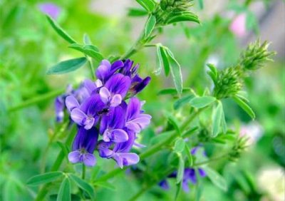 ​对未来人生迷茫的句子