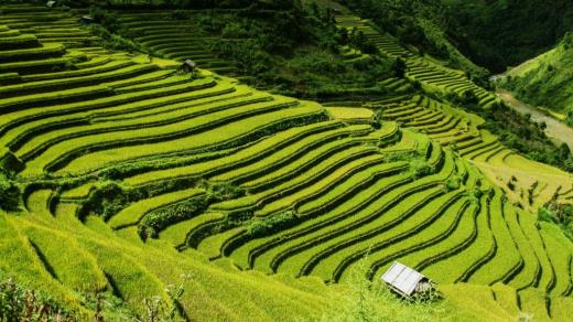 撩对象套路聊天句子