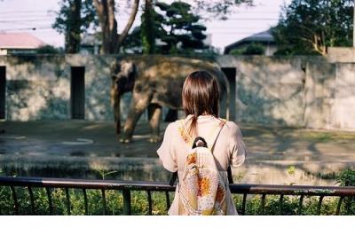 生活随遇而安的句子