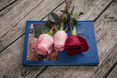 ​下雨天适合在家睡觉的说说句子