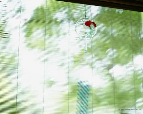 想要寻找另一半的句子