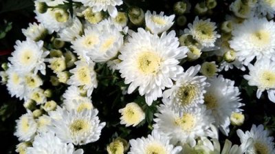 ​亲人突然去世的感悟说说 想念过世亲人伤感句子