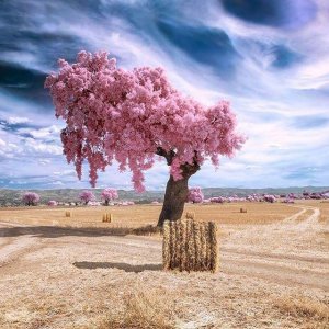 ​圣诞节温馨的句子简短（朋友圈很火的圣诞节祝福，简短暖心，节日快乐）