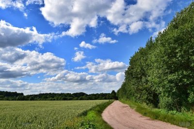 ​心灵鸡汤励志句子简短（温暖心灵的励志句子，句句都是心灵鸡汤）