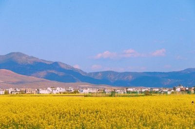 ​感叹人生的句子格言