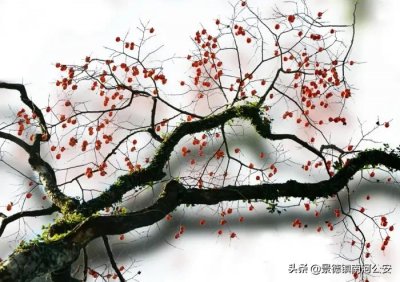 ​讽刺人的句子不带脏字古诗句（史上最狠的十首讽刺诗，骂人不带脏字，专怼人间