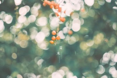 ​十首晚夏的诗词，欣赏夏末秋初景色的唯美句子