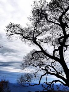 ​赞美风景的句子和诗句（60句描写景色的绝美古诗词！总有一首是你喜欢的。一起