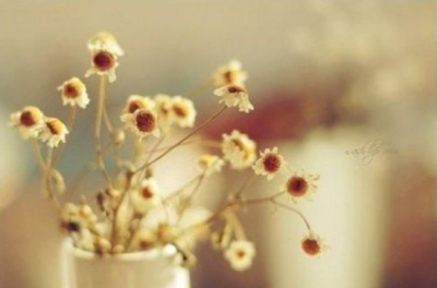 ​晚安温馨句子   说晚安的温馨句子，经典暖心，朋友圈必备