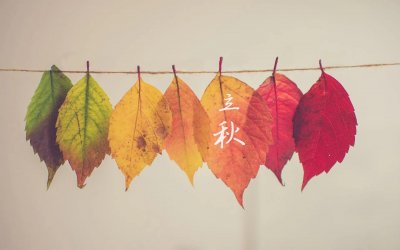 ​立秋祝福的句子有哪些（立秋祝福语文案，节气立秋简短问候暖心句子）