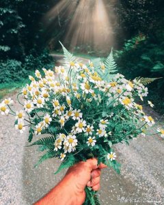 ​热情的句子励志（正能量励志金句，释放压力，带上热情，保持乐观，一切都会好