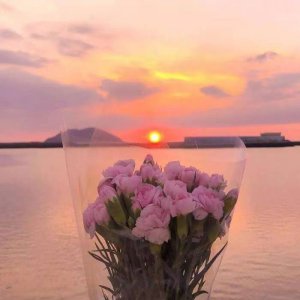 ​特别有云淡风轻的诗意的句子简短