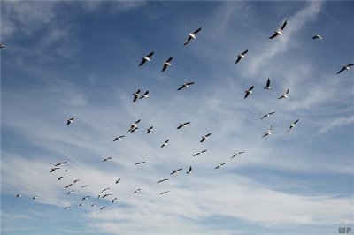 ​适合发朋友圈的精品短句 唯美，精湛深刻，句句入心