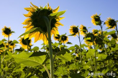 ​一人独行的洒脱句子 ——那些，旧时光