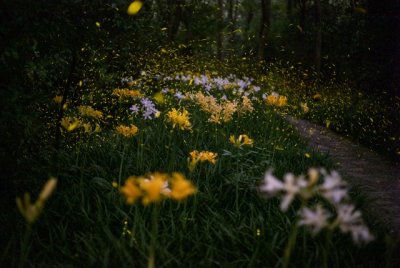 ​描写人生感悟的经典句子摘抄