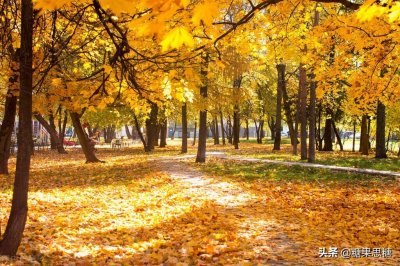 ​伤心的话语经典句子（那些伤心欲绝的句子，经典与心灵，让人陷入深深的回忆）