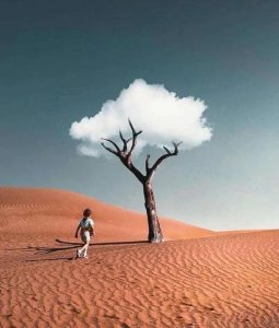 ​感悟人生岁月的经典句子，岁月静好，渡一世轮回