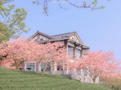 ​让自己清醒的句子 ，对你有帮助的十句话