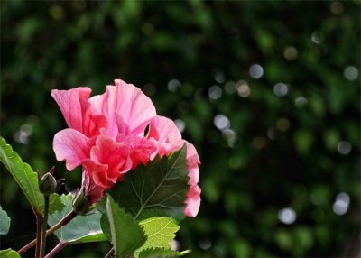 ​关于等待的美文美句 有一种爱，叫等待