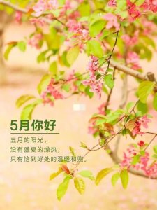​五月你好！精短唯美句子精选，愿你如阳光，明媚不忧伤