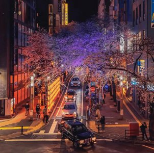 ​下班后安静的街道段子文案（适合下班时发的走心文案：夜色很美 生活太难 那祝