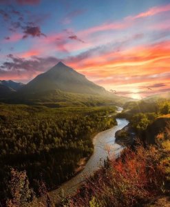 ​小说上的唯美句子短句