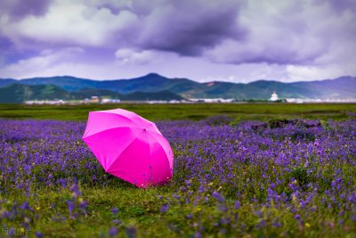 ​朋友圈让人热血沸腾的高情商短句