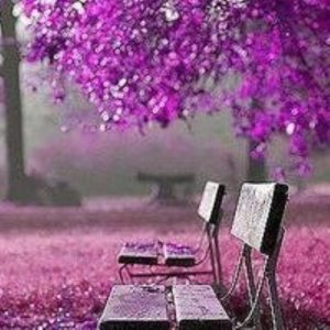 ​晚上散步赞美句子（夜里散步）