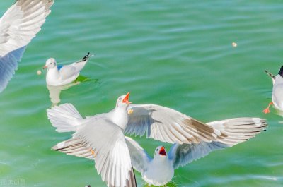 ​形容浪漫的句子唯美 ：小众却惊艳 简短文艺