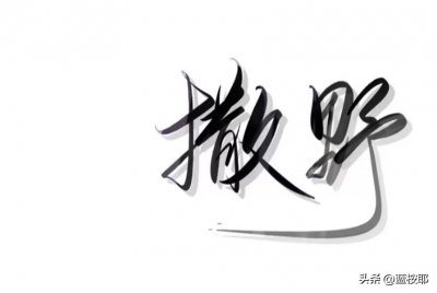 ​小说唯美句子摘抄大全 ，留下你最喜欢的一句