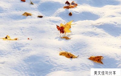 ​描述下雪了发的朋友圈_好兆头经典吉祥话77句